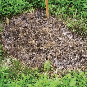 粉末除草剤　根こそぎ　枯れ~る~ 1kg