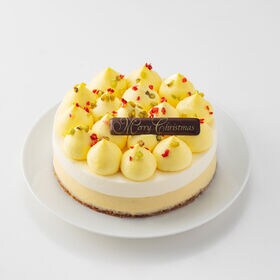 【12/23着】【4.5号】プリンスホテル パーフェクトチーズケーキ