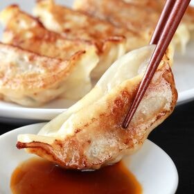 【計64個/32個×2p】お肉屋の特製 生餃子