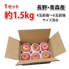 【約1.5kg】りんご《個数・品種おまかせ》(ご家庭用・傷あり)