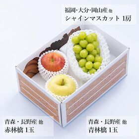 旬のフルーツセットA21（シャインマスカット・赤林檎・青林檎）