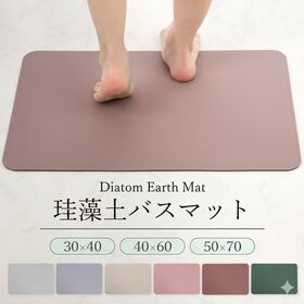 【ブラウン/30×40cm】珪藻土バスマット