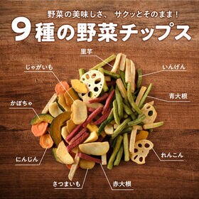 【3袋】ピエトロ野菜チップス