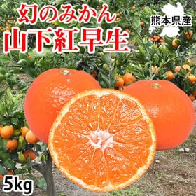 【予約受付】11/20~順次出荷【5kg】山下紅早生みかん 熊本県産 | 希少な幻のみかん！