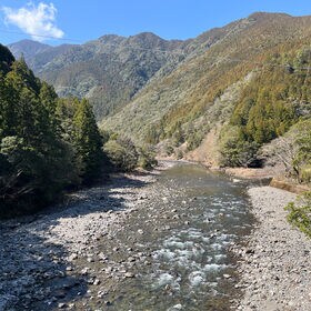 【2kg×1袋】《特別栽培米》 徳島県産コシヒカリ白米 令和7年度産