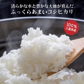 【20kg(5kg×4袋)】【白米】三重県産コシヒカリ 令和7年産