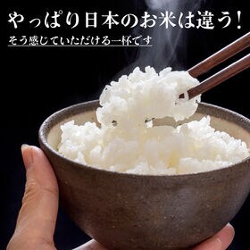 【30kg(5kg×6袋)】【白米】三重県産コシヒカリ 令和7年産