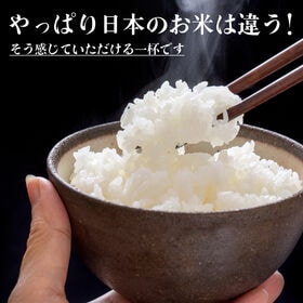 【30kg(5kg×6袋)】【白米】三重県産コシヒカリ 令和7年産