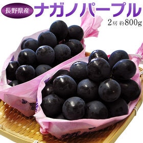 【計約800g/2房】長野県産 ナガノパープル【冷蔵】