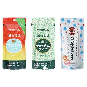 友桝飲料 凍らせて食べるアイス 詰め合わせ【3種・計6コ】（マンゴー・メロン・白いサワー）