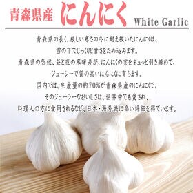 【2袋 (20g×2袋)】にんにくパウダー 2袋 (20g×2袋) 青森県産 ガーリック