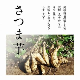【500g】塩けんぴ