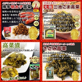 【九州高菜4種】大人気 九州高菜4種類セット