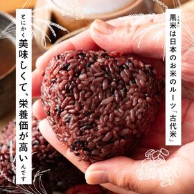 【60kg(30kg×2袋)】国産黒米 業務用サイズ 雑穀米