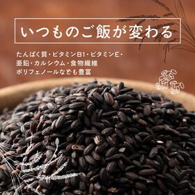 【60kg(30kg×2袋)】国産黒米 業務用サイズ 雑穀米