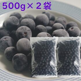【500g×2袋】冷凍ブルーベリー＜宇和島市・レイクサイドガーデン産＞