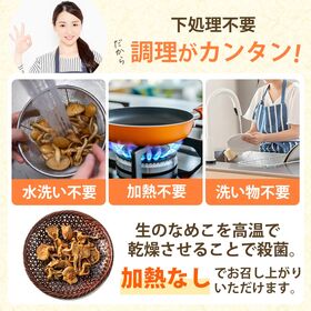 【20g×2袋】長野県産 乾燥なめこ 無添加
