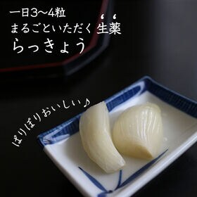 【100g×2】甘らっきょう