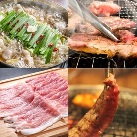 【計4kg5種以上】MEGA盛り肉福袋（豚肉・牛肉・鶏肉・馬肉等）