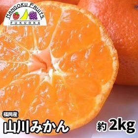 【予約受付】11月上旬~順次出荷【福岡】約2kg　山川みかん