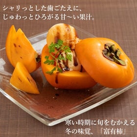 【予約受付】11月上旬~順次出荷　【福岡産】2.5kg  富有柿