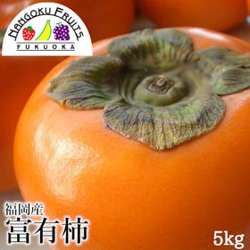 【予約受付】11月上旬~順次出荷　【福岡産】5kg  富有柿