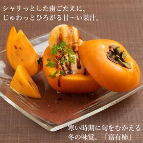 【予約受付】11月上旬~順次出荷　【福岡産】10kg  富有柿