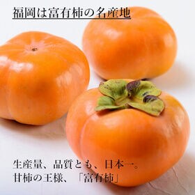 【予約受付】11月上旬~順次出荷　【福岡産】10kg  富有柿