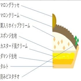 【12/22着】【5号】銀座タルト(モンブラン)