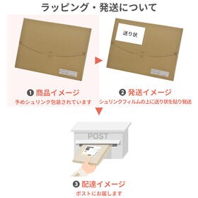 【60g×10包】めんつゆ（FT-10）