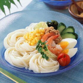 【計3000g(300g×10包)】手延うどん 揖保乃糸 うどん ダンボール（TW-3K）