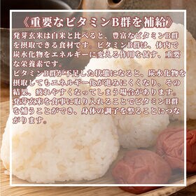 【60kg(30kg×2袋)】国産 発芽玄米 雑穀米【業務用サイズ】