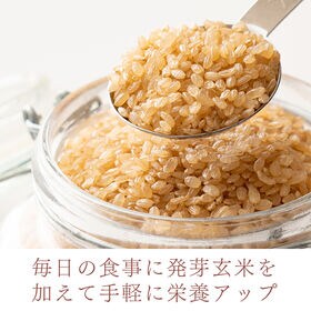 【90kg(30kg×3袋)】国産 発芽玄米 雑穀米【業務用サイズ】