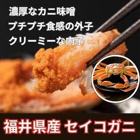 【計約500g/約100g×5杯】福井県産 セイコガニ 小サイズ 浜ゆで冷凍