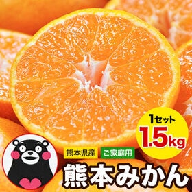 【1.5kg】熊本みかん ※ご家庭用