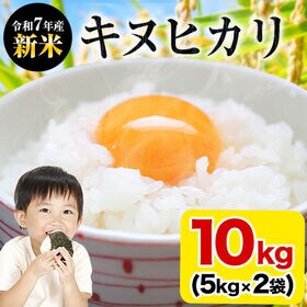 【計10kg(5kg×2)】熊本県産 キヌヒカリ 白米 | シルクのような輝き！