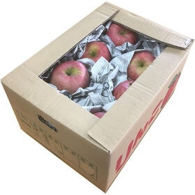 【予約受付】10/1~順次出荷【5kg(13‐28玉)】山形県産りんご(品種おまかせ)家庭用・傷あり