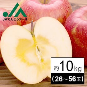 【予約受付】10/10~順次出荷【10kg】山形県産りんご(...