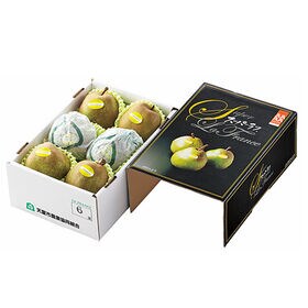 【予約受付】11/1~順次出荷【1.5kg】[JA共選品特秀品]山形県天童産スーパー ラ・フランス