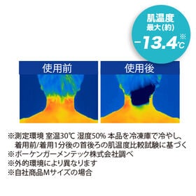 【ペールベージュ/Sサイズ】氷嚢ボトル