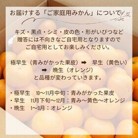 【2.5kg】熊本みかんサイズおまかせ(ご家庭用)