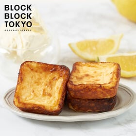 【3種計8個】BLOCK BLOCK TOKYO夏のバスクチーズケーキ〜南国フルーツ〜