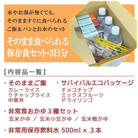 「そのまま食べられる保存食セット3日分」×4箱（12日分） 備蓄品・保存水 ご飯/おかゆ＆パン