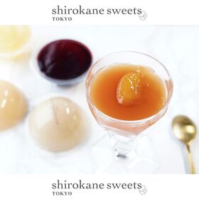 【5種計5個】shirokane sseets TOKYO 涼菓フルーツゼリー