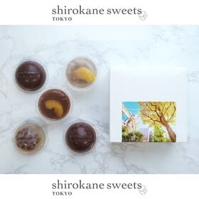 【5種計5個】shirokane sseets TOKYO 和涼菓フルーツ羊羹・あんみつゼリー