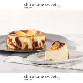 【4号】shirokane sseets TOKYO 白金バスクチーズケーキ（オレンジ）