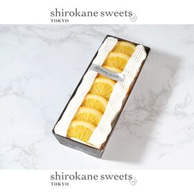 shirokane sseets TOKYO プレミアムアイスクリームケーキ(オレンジ)