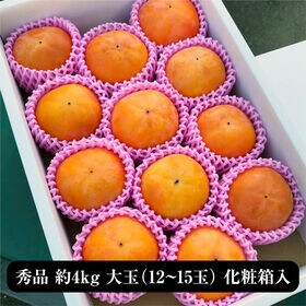 【予約受付】11/14~順次出荷【秀品 大玉約4.0kg】香川県産 富有柿