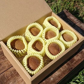 【予約受付】10/14~順次出荷【約1kg】香川県産さぬきゴールド キウイ(6-8個入)