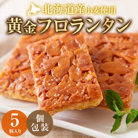 【5個】黄金フロランタン【DS08】